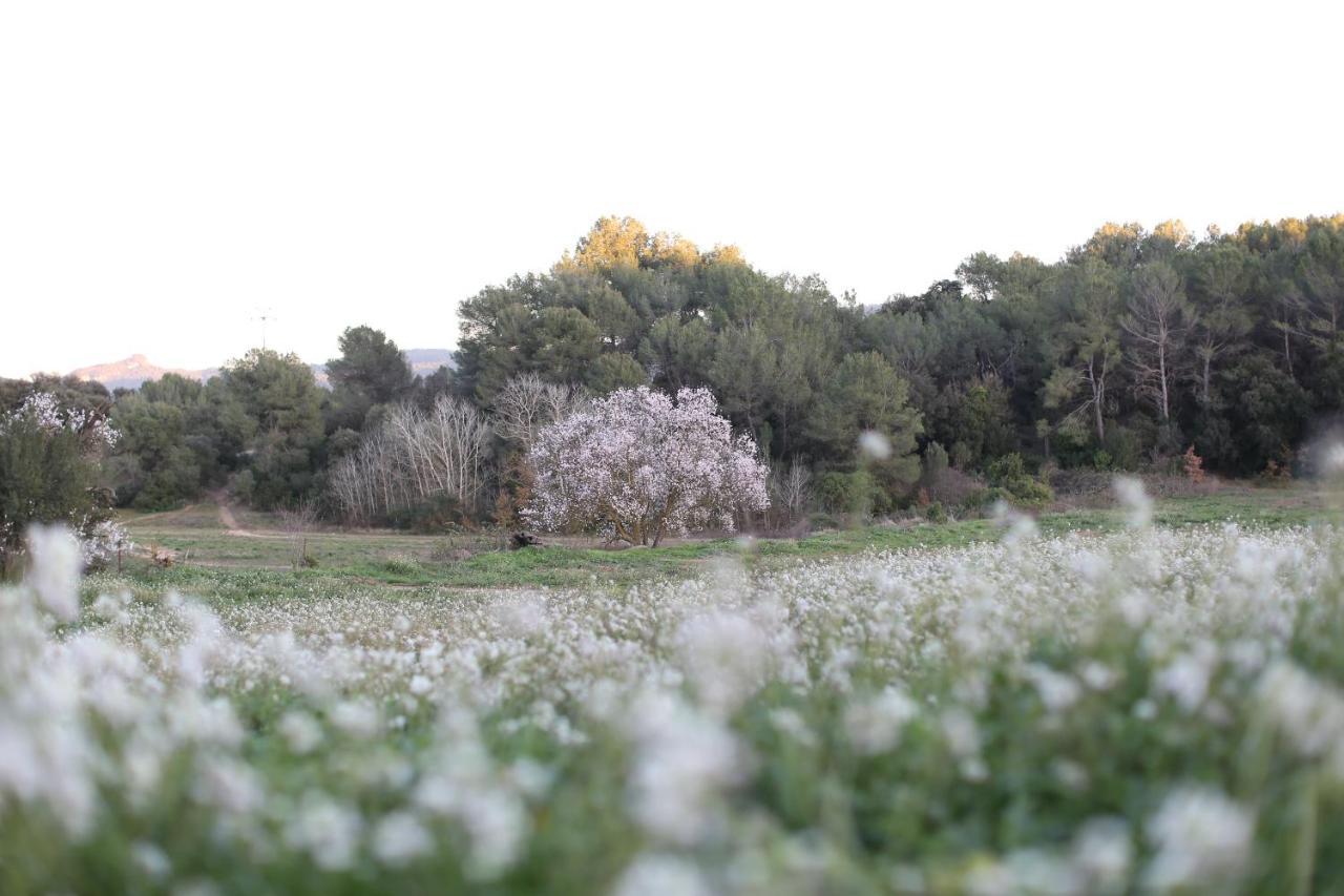 Masia Can Rovira - Esc1852 San Lorenzo de Hortóns Extérieur photo